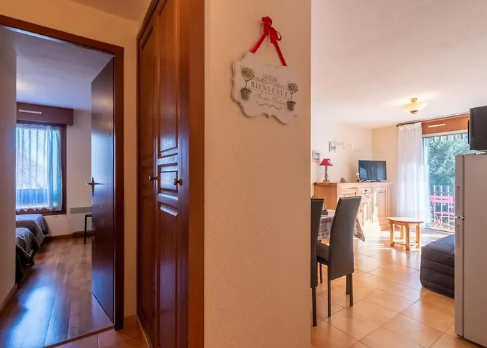 Appartement Pour 4 Personnes Au Cœur De Saint-lary Village - Fr-1-296-304 *